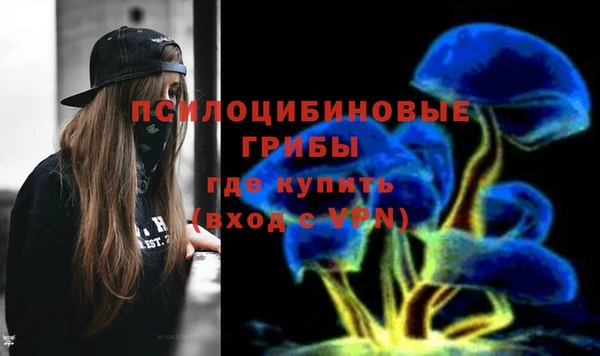 тгк Богородицк