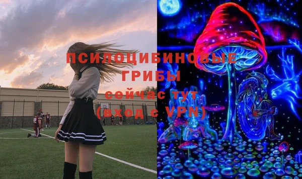 тгк Богородицк