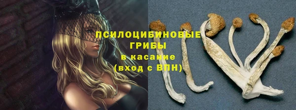 бошки Богородск