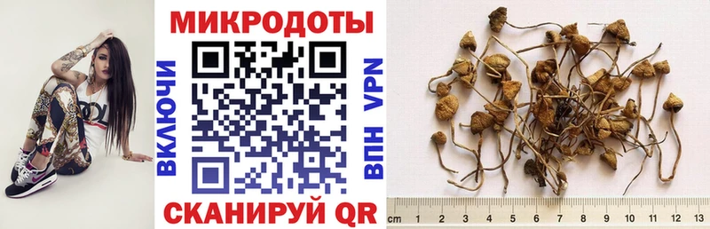 Галлюциногенные грибы мухоморы  мега маркетплейс  Владимир  даркнет сайт 